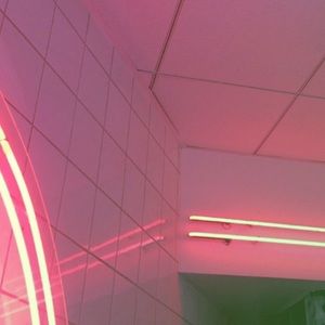 Meet your Posher, Noah